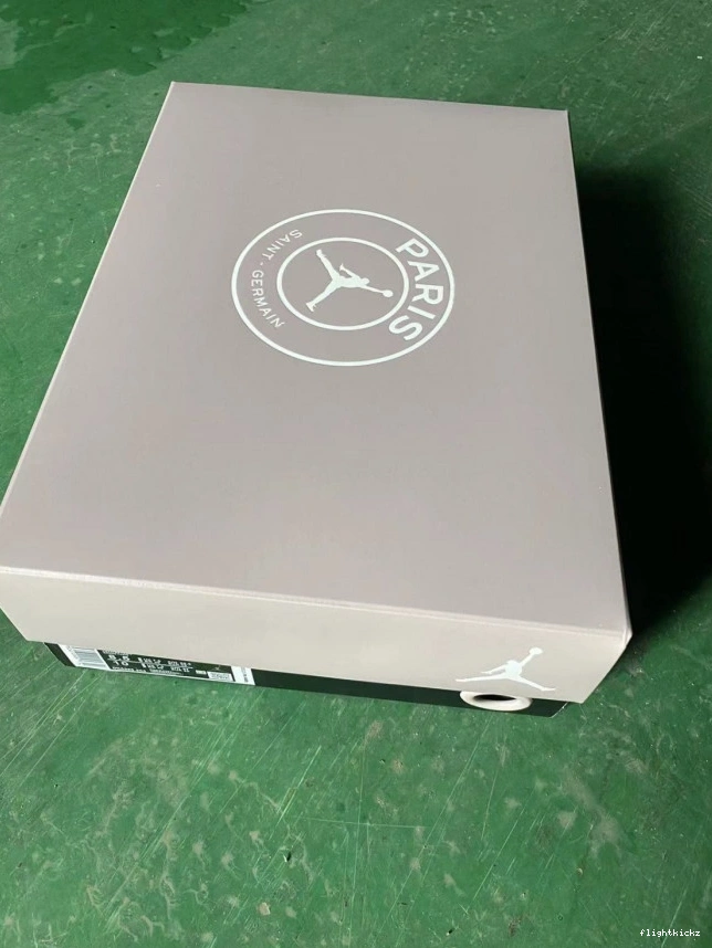 Jordan PSG x DX6325-204 Air Low 5 0805